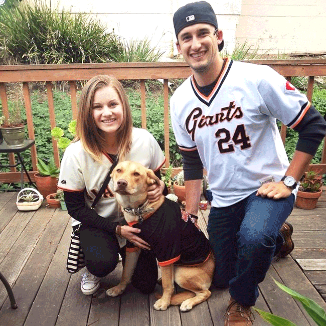 Mary's Dogs, Mary's Doggies, Adopt, Dog adoption, Puppy adoption, Formosan Mountain Dog, 