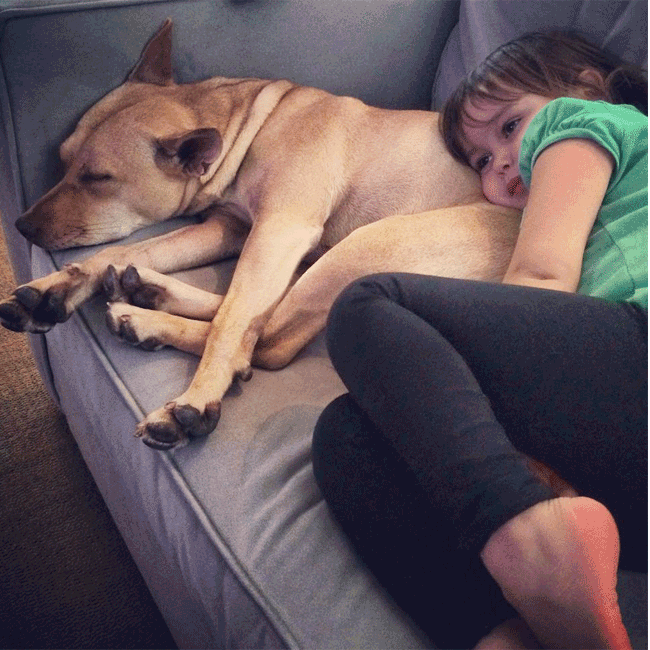 Mary's Dogs, Mary's Doggies, Adopt, Dog adoption, Puppy adoption, Formosan Mountain Dog, 