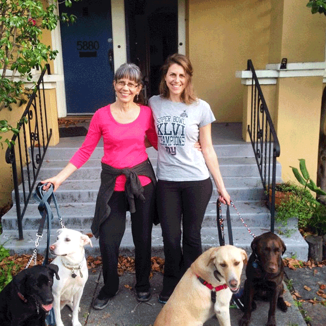Mary's Dogs, Mary's Doggies, Adopt, Dog adoption, Puppy adoption, Formosan Mountain Dog, 