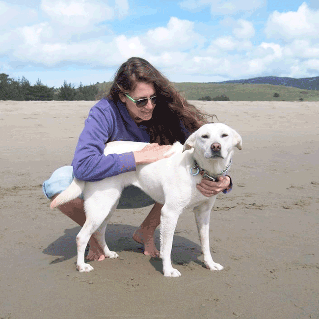 Mary's Dogs, Mary's Doggies, Adopt, Dog adoption, Puppy adoption, Formosan Mountain Dog, 
