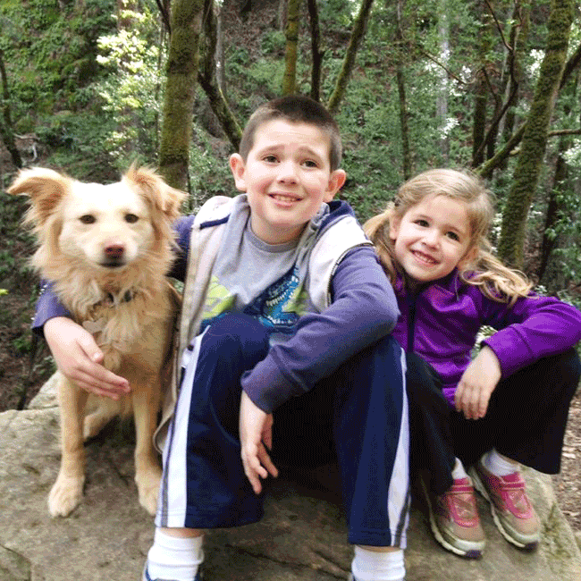 Mary's Dogs, Mary's Doggies, Adopt, Dog adoption, Puppy adoption, Formosan Mountain Dog, 