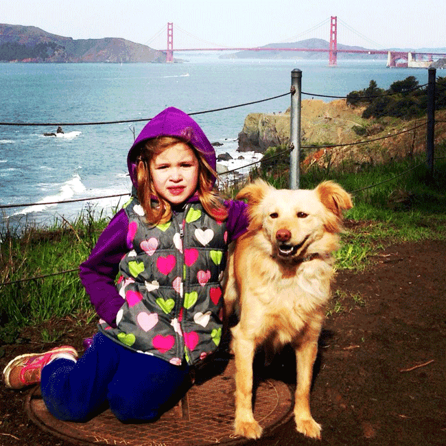 Mary's Dogs, Mary's Doggies, Adopt, Dog adoption, Puppy adoption, Formosan Mountain Dog, 
