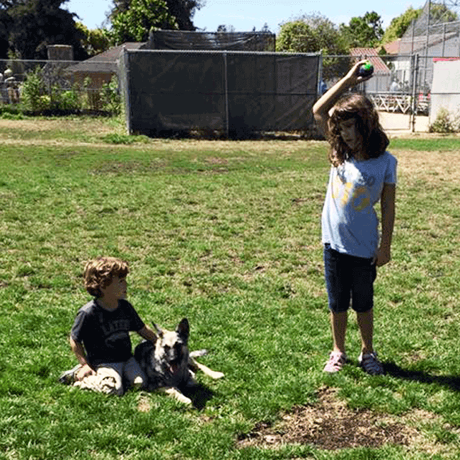 Mary's Dogs, Mary's Doggies, Adopt, Dog adoption, Puppy adoption, Formosan Mountain Dog, 