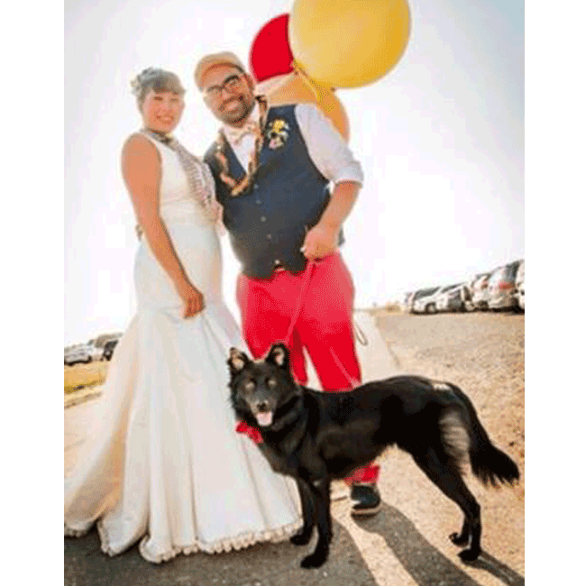 Mary's Dogs, Mary's Doggies, Adopt, Dog adoption, Puppy adoption, Formosan Mountain Dog, 