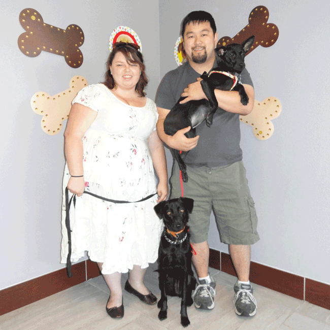 Mary's Dogs, Mary's Doggies, Adopt, Dog adoption, Puppy adoption, Formosan Mountain Dog, 