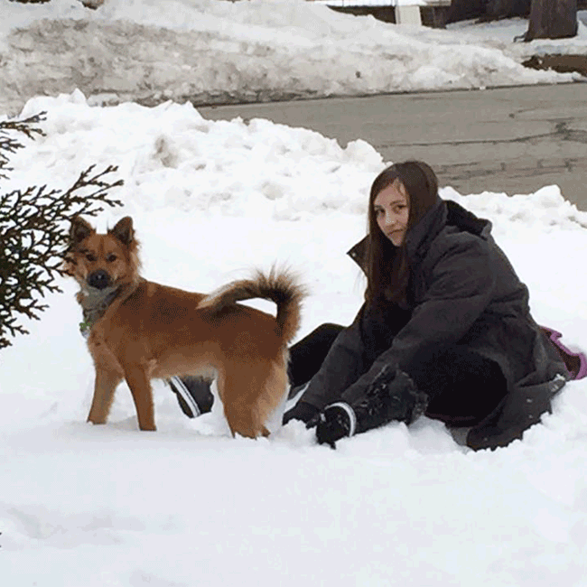 Mary's Dogs, Mary's Doggies, Adopt, Dog adoption, Puppy adoption, Formosan Mountain Dog, 