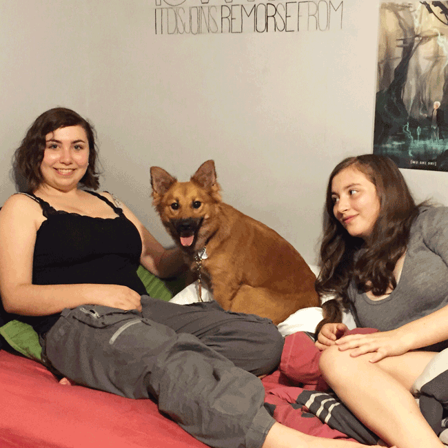 Mary's Dogs, Mary's Doggies, Adopt, Dog adoption, Puppy adoption, Formosan Mountain Dog, 