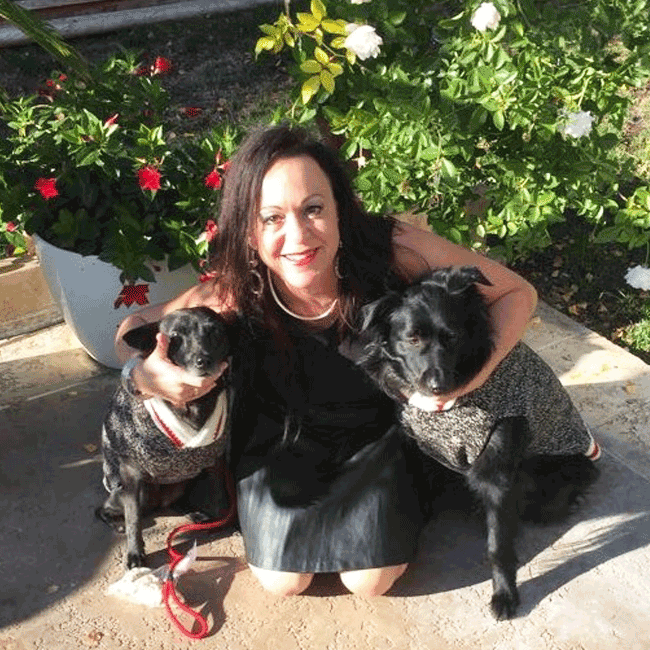 Mary's Dogs, Mary's Doggies, Adopt, Dog adoption, Puppy adoption, Formosan Mountain Dog, 