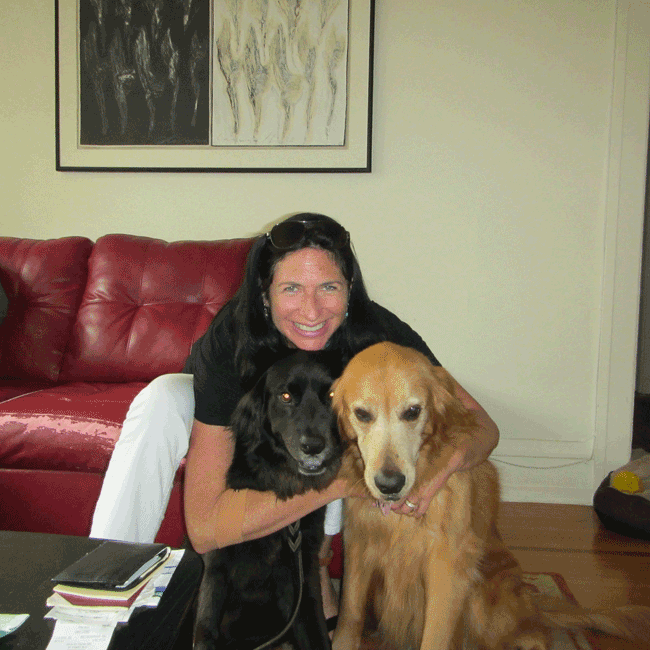 Mary's Dogs, Mary's Doggies, Adopt, Dog adoption, Puppy adoption, Formosan Mountain Dog, 