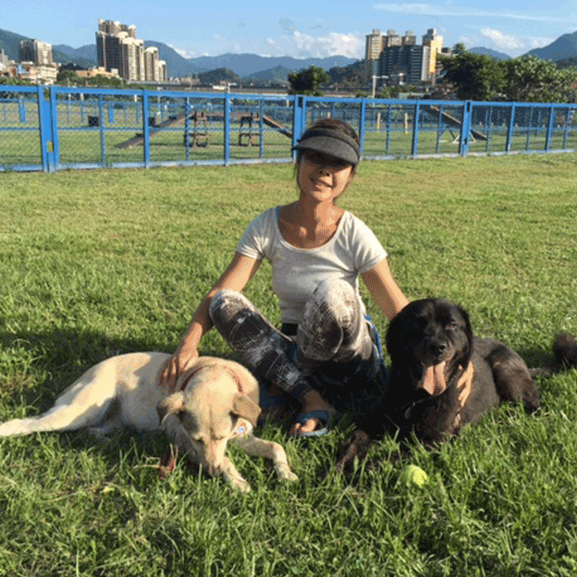 Mary's Dogs, Mary's Doggies, Adopt, Dog adoption, Puppy adoption, Formosan Mountain Dog, 