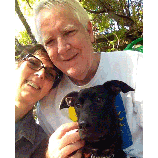 Mary's Dogs, Mary's Doggies, Adopt, Dog adoption, Puppy adoption, Formosan Mountain Dog, 