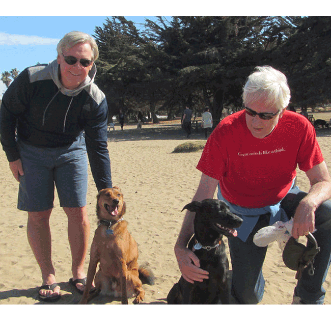 Mary's Dogs, Mary's Doggies, Adopt, Dog adoption, Puppy adoption, Formosan Mountain Dog, 